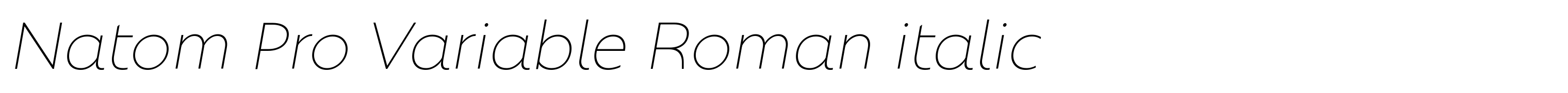 Natom Pro Variable Roman italic